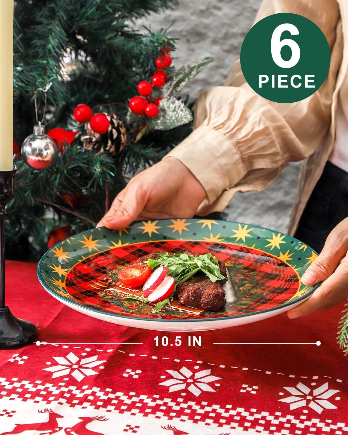 HASENSE Ceramic Dinner Plates, 10.5 Inches Christmas Serving Dishes for Salad, Pasta, Steak, Dessert, Party Kitchen Plates Set of 6, Microwave and Dishwasher Safe
