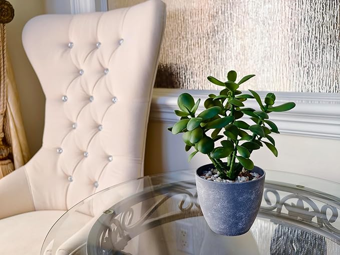 365 Blooming Decor Artificial Jade Plant 12 inch in Gray Pot for Home, Office Decor, Money Tree, Crassula ovata (Gray Pot, 12 inch)