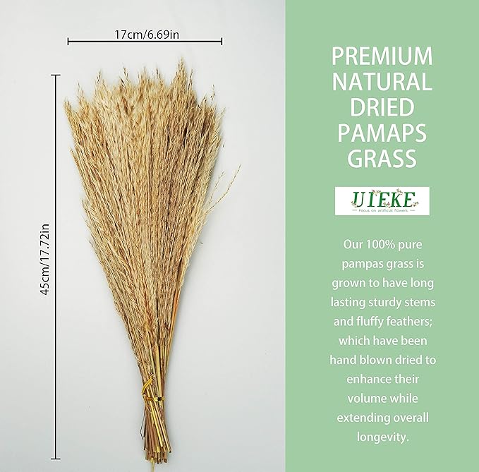 Uieke 100Pcs Natural Dried Pampas Grass Plume 17inch Tall Dried Flowers Large Faux Reed Artificial Plants for Wedding Flower Arrangements Farmhouse Wreath Door Centerpiece Home Décor Brown