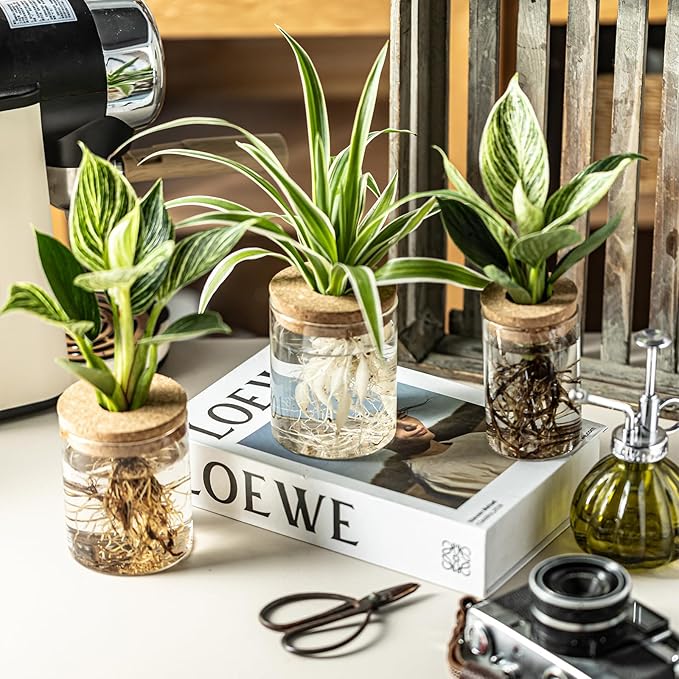 Glass Propagation Stations for Plants -Desktop Flower Vases,Propagation Flower Vases Set – 2 Sizes Planter Propagated Jars,for Plant Cuttings,for Living Room, Bedroom Decoration,Home,Office Decor(12)