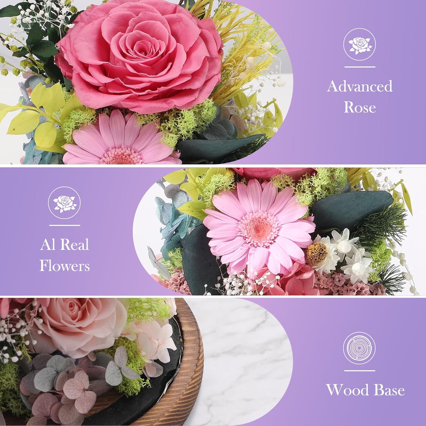 Eternal Rose Sweet Pink Flower Preserved Long Lasting Stable Color Natural Material Symbol of Everlasting Love for Wife Mothers Select Anniversary Rose Gift Birthday Present