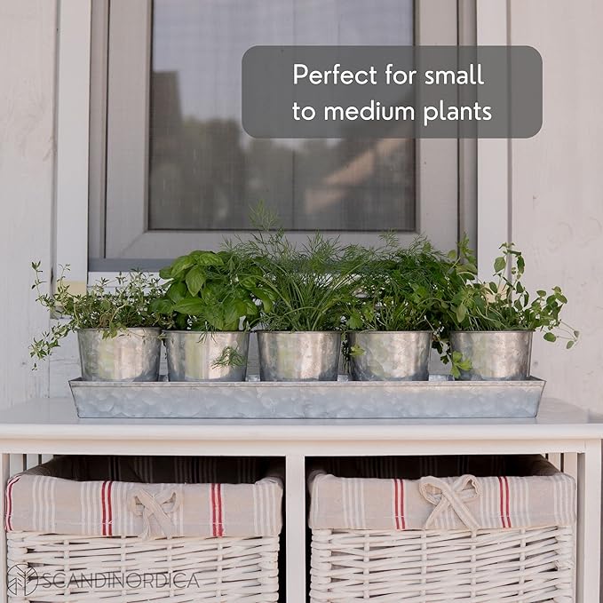 SCANDINORDICA Galvanized Metal Herb Planter, 5 Pots with Drainage Holes, Indoor Outdoor Use, Farmhouse Decor, 19.5x3.9x3.5 inches