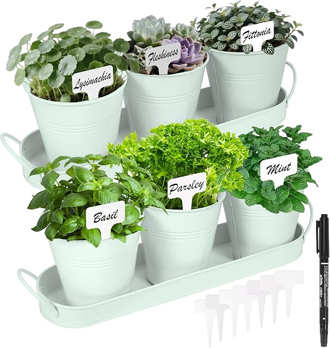 Herb Garden Planter Indoor Kit – 6 Metal Pots with 2 Trays for Windowsill & Kitchen Counter – Modern Decorative Indoor Planters for Herbs, Succulents & Small Plants, Mint