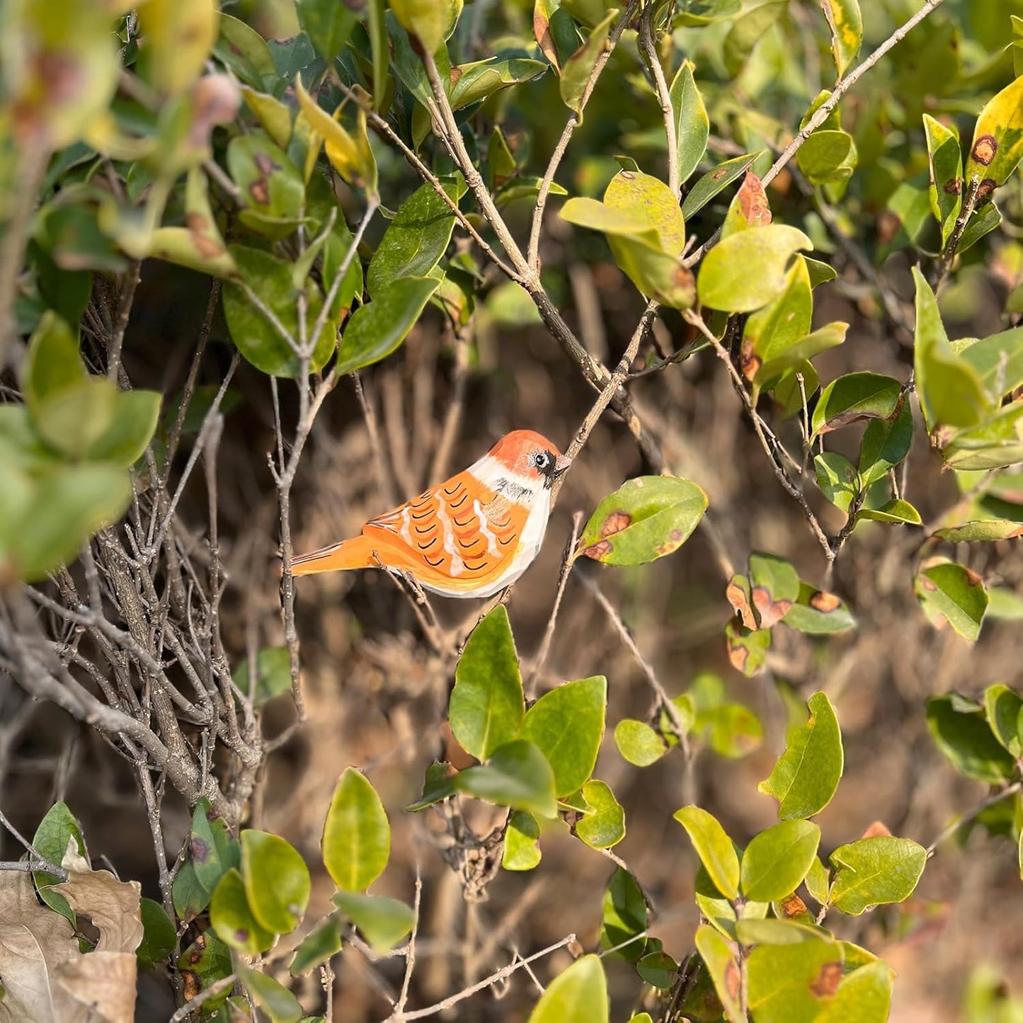 Hand Carved Bird Figurines, Hand-Painted Sculpted Wooden Birds, Wood Bird Sculptures for Home Decoration, Hand Crafted Life Like Bird Statues, Ideal Gifts for Bird Lovers (Sparrow)
