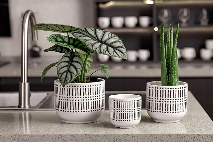 Docrin Plant Pots Ceramic: 6.5+5.3+4 Inch Flower Pots with Drainage Holes for Plants, Modern Flower Pots for Home and Office, Indoor-Outdoor - Set of 3/White and Black