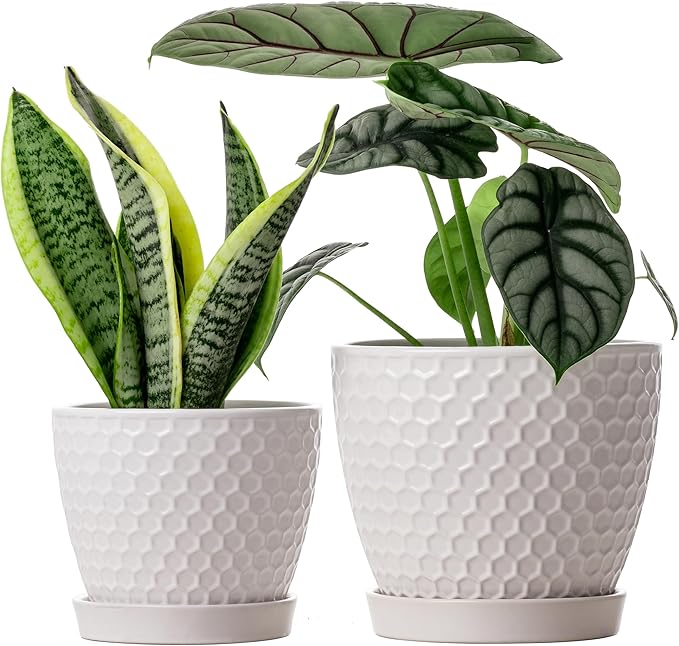 Docrin Ceramic Plant Pots Indoor, 6.6 + 5.5 Inch Flower Pots with Drainage Holes and Saucer for Plants, Set of 2, Milky White Honeycomb