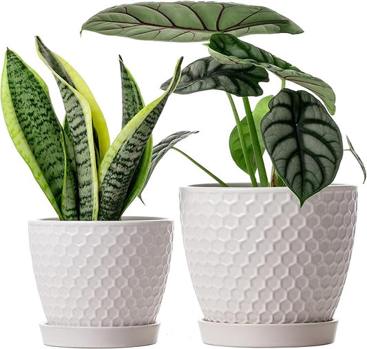 Docrin Ceramic Plant Pots Indoor, 6.6 + 5.5 Inch Flower Pots with Drainage Holes and Saucer for Plants, Set of 2, Milky White Honeycomb