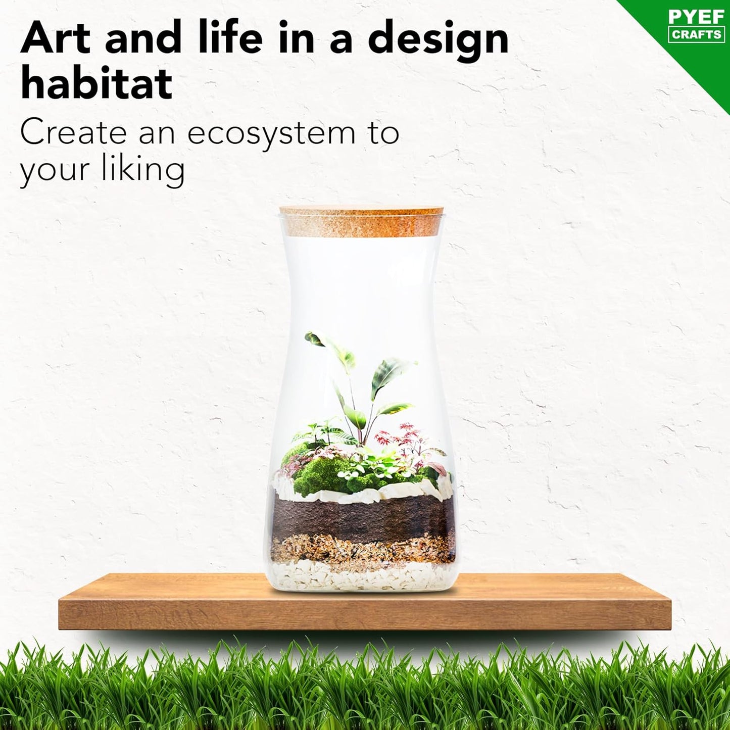 DIY Terrarium Kit for Adults – Build Your Own Self‑Sustaining Closed Ecosystem – 34 fl oz (1‑Liter) Glass Terrarium – Succulents, Air Plants, Fittonia, Fern – Plants Not Included