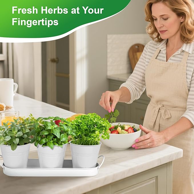 Herb Garden Planter Indoor Kit – 6 Metal Pots with 2 Trays for Windowsill & Kitchen Counter – Modern Decorative Indoor Planters for Herbs, Succulents & Small Plants, White