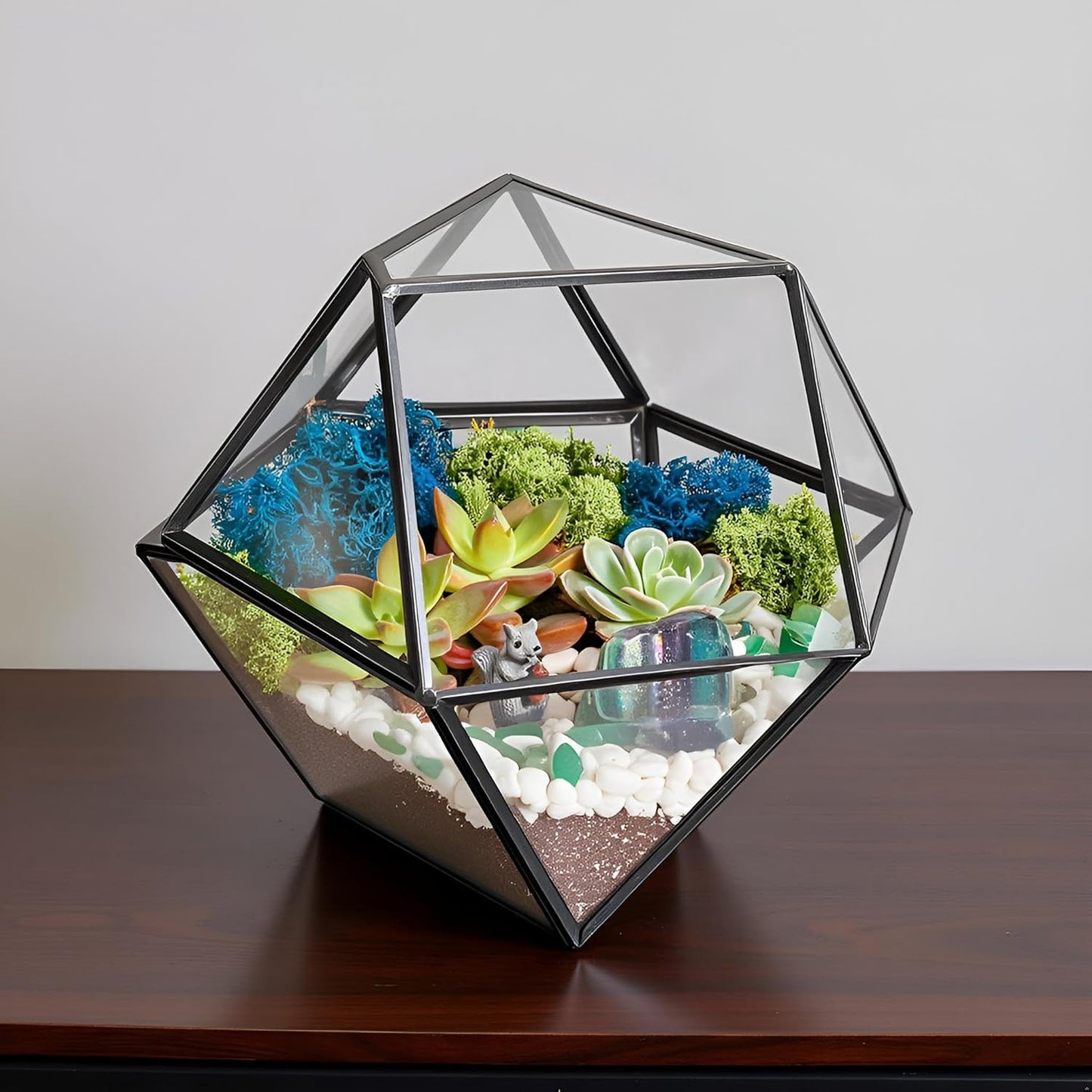 DIY 7" Geometric Terrarium Kit with Live Plants - Build Your Own Glass Terrarium for Adults & Kids with Moss, Crystals, Tools & Decor - Mini Ecosystem - Handcrafted in The USA