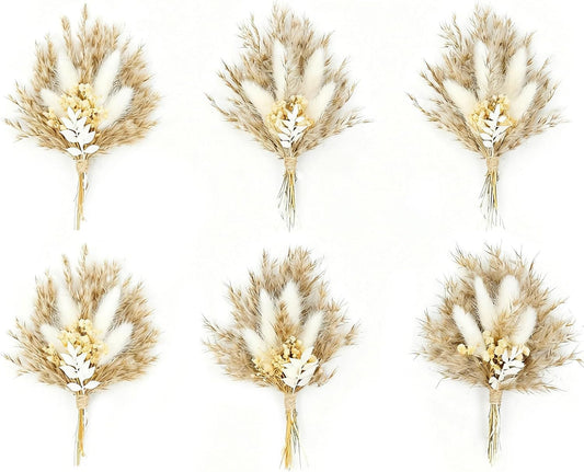 Mini Dried Flower Bouquet Set of 6, Boho Wedding Decor, Boutonniere for Men,Table Centerpieces, Dry Pampas Grass,Birthday Cake Flowers,Personalized Bridesmaid Gift Box,Small Bottles Decoration.(White)