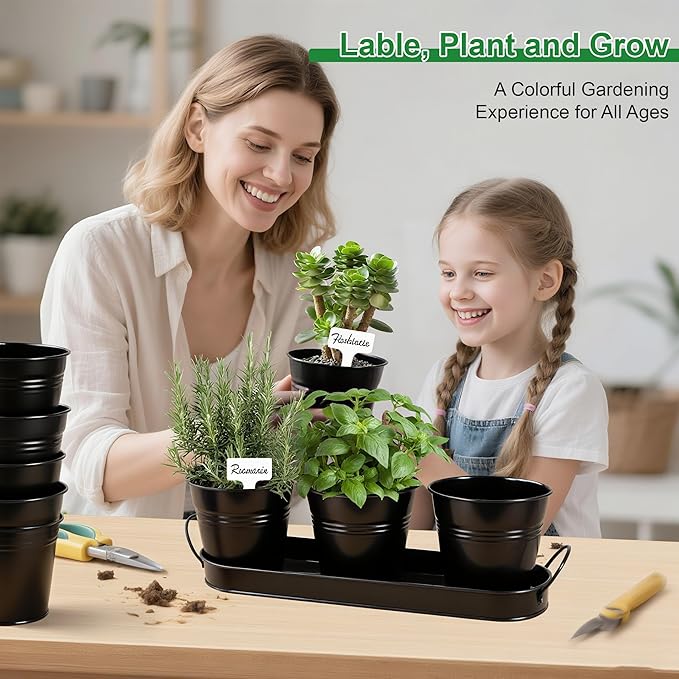Herb Garden Planter Indoor Kit – 6 Metal Pots with 2 Trays for Windowsill & Kitchen Counter – Modern Decorative Indoor Planters for Herbs, Succulents & Small Plants, Black