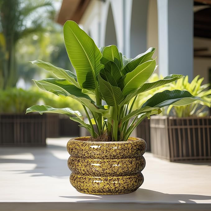 SQOWL Ceramic Pots for Plants - 13.5 Inch Ceramic Planter for Indoor Plants, Large Plant Pots with Drainage Hole, Round Flower Pot Outdoor, Bubble Planter, Room Decor, Gifts for Plant Lover, Yellow