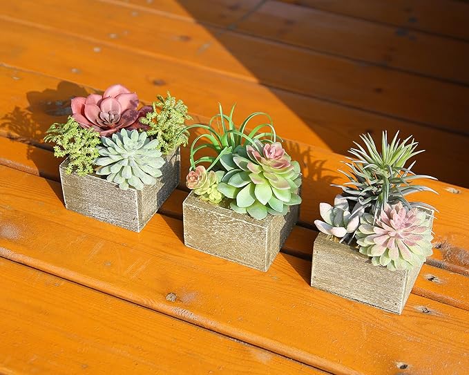 Mingfuxin Succulent Plants Artificial, Small Fake Plants in Pots, Mini Artificial Plants Indoor with Wood Potted for Bathroom Home Office Living Room Table Desk Shelf Decor, Set of 3