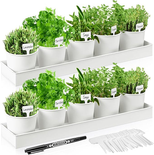 2 Sets Herb Garden Planter Indoor Kit with Trey 10 Pcs Metal Windowsill Plant Pots with Drainage Holes Indoor Herb Planter with Marker and Labels for Home Outdoor Plants(White)
