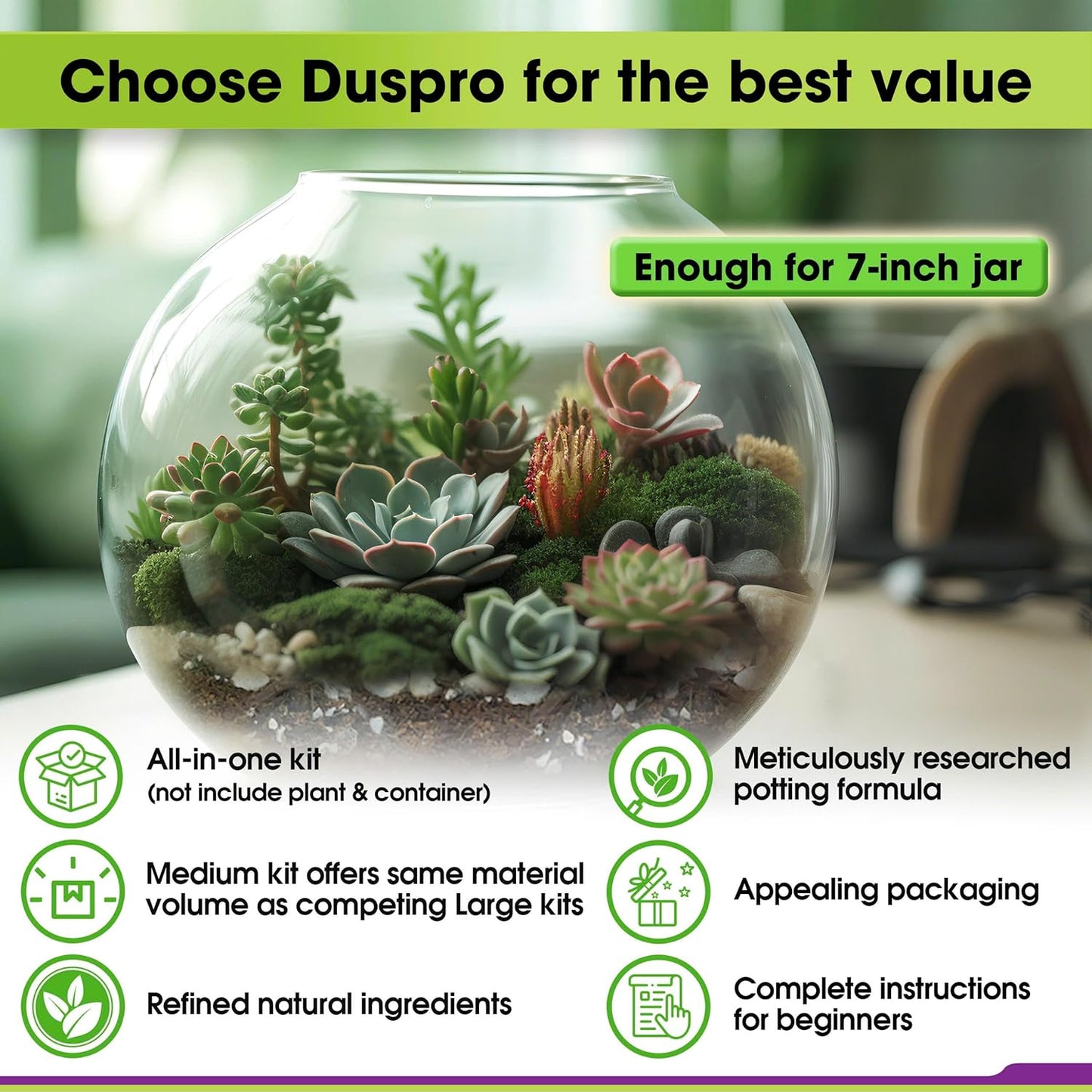 DUSPRO Recycle Terrarium Kit, Include Potting Soil, Pumice, Zeolite, Green Moss, Sphagnum Moss, Decorative Stone, Mesh, Tools, DIY Terrarium Kit for Kids, Air Plant, Succulent