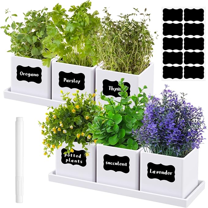 6 Pcs Herb Garden Planter Set Herb Garden Kit Indoor Plastic Plant Pots with Drainage and Saucer Succulent Cactus Vegetable Window Boxes Planter for Windowsill Indoor Outdoor Pots