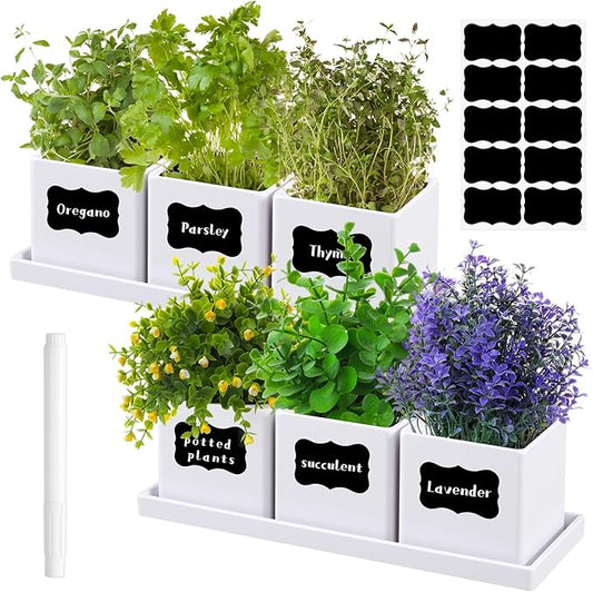 6 Pcs Herb Garden Planter Set Herb Garden Kit Indoor Plastic Plant Pots with Drainage and Saucer Succulent Cactus Vegetable Window Boxes Planter for Windowsill Indoor Outdoor Pots