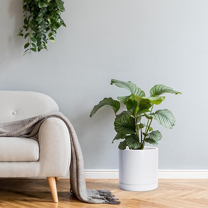 D'vine Dev 10 Inch Ceramic Planter Pot with Drainage Hole and Saucer, Indoor Cylinder Round Planter Pot, White, 94-O-E-1