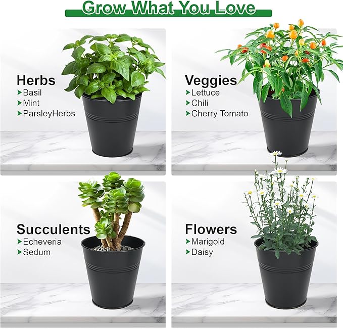 Herb Garden Planter Indoor Kit – 6 Metal Pots with 2 Trays for Windowsill & Kitchen Counter – Modern Decorative Indoor Planters for Herbs, Succulents & Small Plants, Black