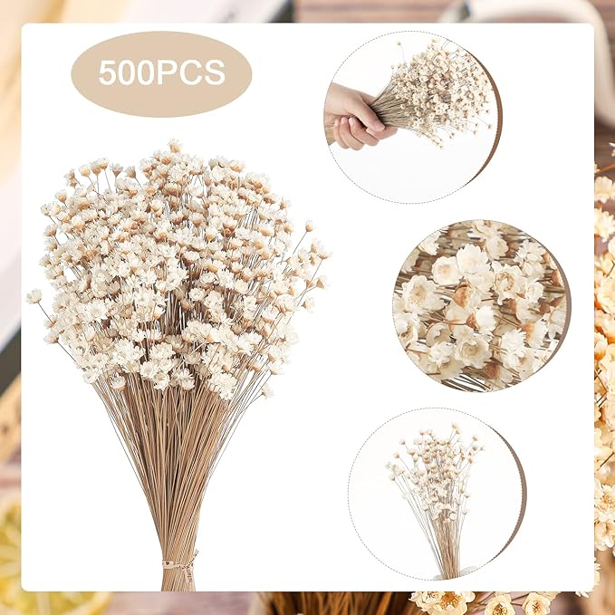 500 Pcs Natural Dry Flowers Mini Chamomile Small Star Daisy Dried Flowers Decorative White Daisy Bouquet for Wedding Vase Arrangements Decorations