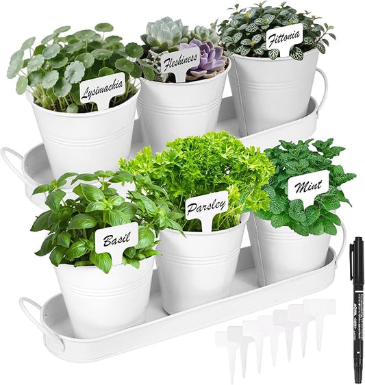 Herb Garden Planter Indoor Kit – 6 Metal Pots with 2 Trays for Windowsill & Kitchen Counter – Modern Decorative Indoor Planters for Herbs, Succulents & Small Plants, White