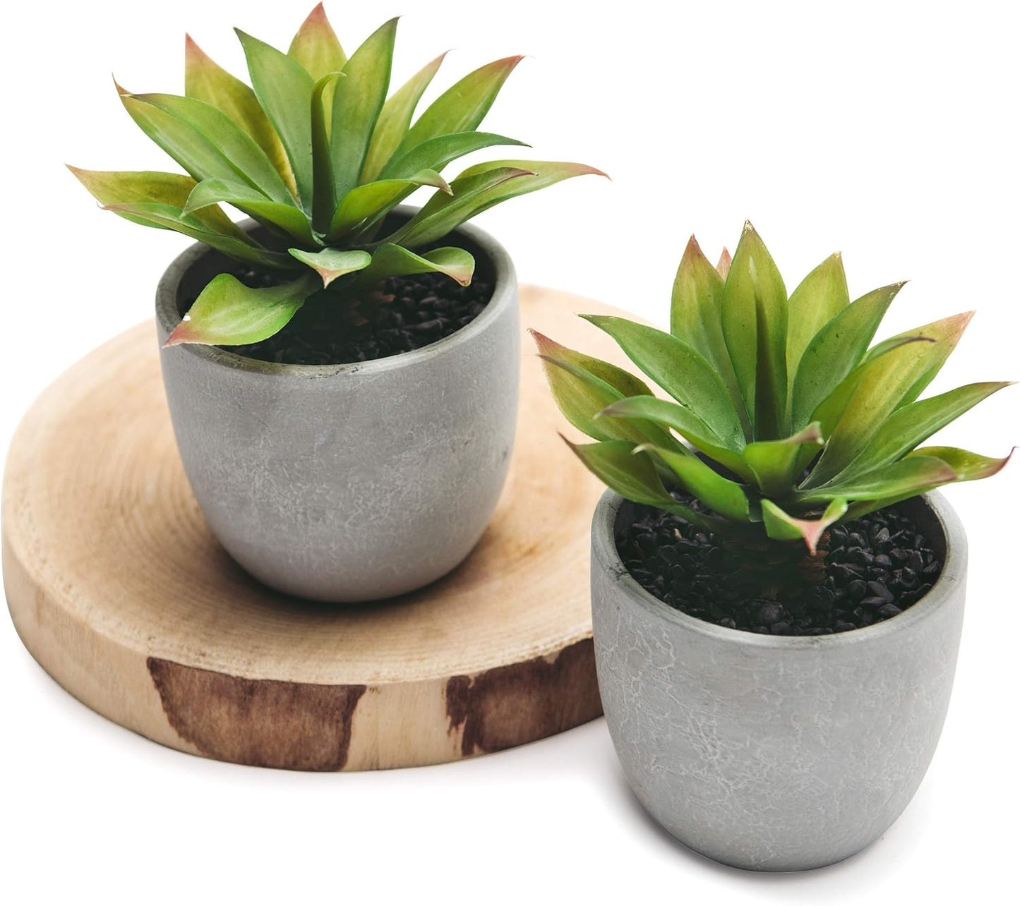 Kurrajong Farmhouse Artificial Plants Indoor | Set of 2 Fake Plants for Desk Decor | Artificial Succulents in pots | Fake Succulents| Faux Plants Indoor | Faux Agave for Shelf Decor