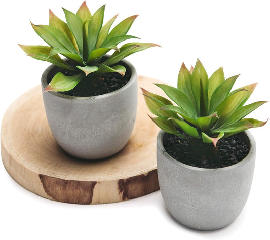 Kurrajong Farmhouse Artificial Plants Indoor | Set of 2 Fake Plants for Desk Decor | Artificial Succulents in pots | Fake Succulents| Faux Plants Indoor | Faux Agave for Shelf Decor