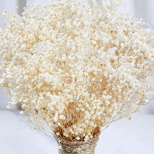 6000+ Dried Babys Breath Flowers Bulk - 17" Ivory White Dried Flower Bouquet, Real Natural Gypsophila Branches for Vase Filler, Wedding, Table Centerpiece, Home Decor, DIY Wreath Floral, Crafts