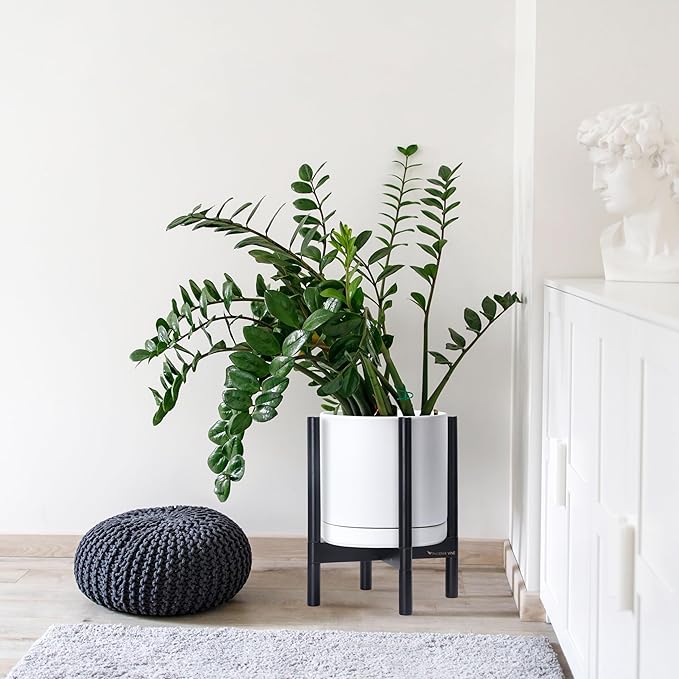 D'vine Dev Ceramic Planter with Ebony Stand - 12 Inch Modern Round Flower Pot with Wood Planter Holder, White, 55-B-H-1