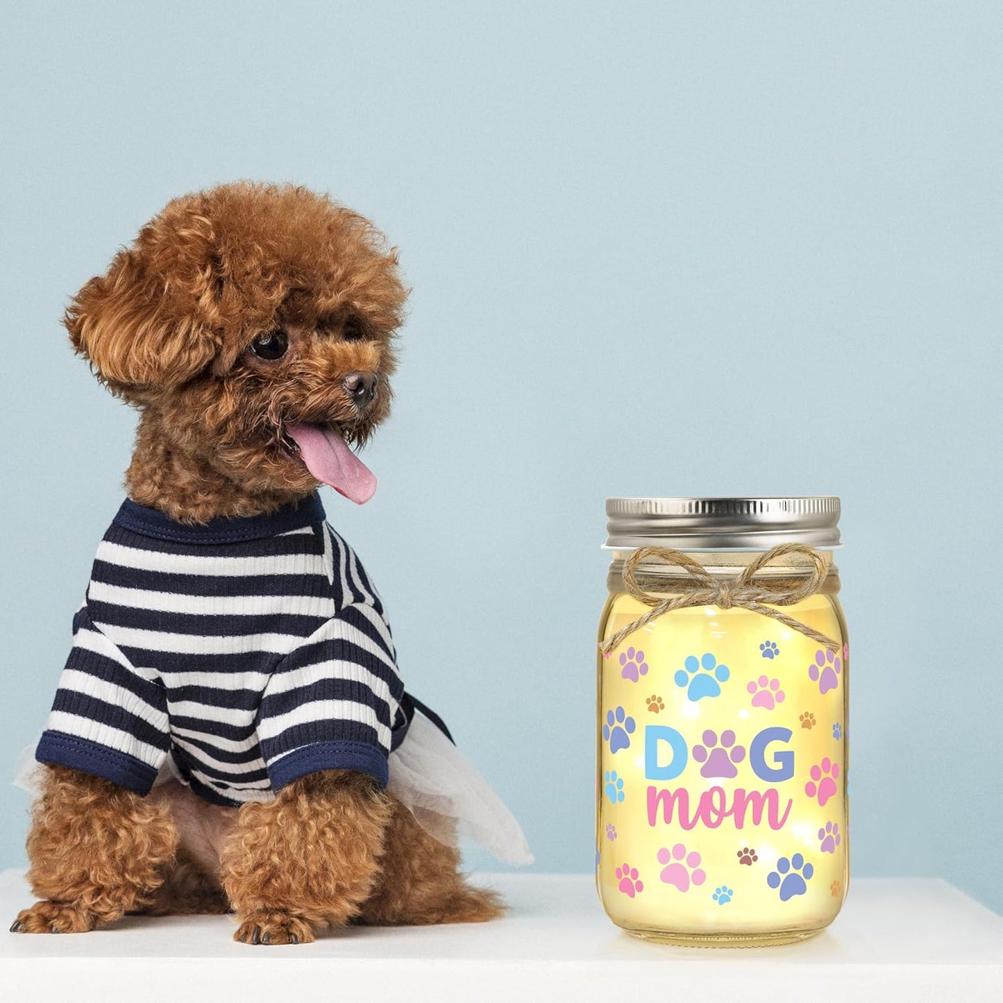 Dog Mom Gifts for Women Gifts for Dog Lovers Dogs Lovers Gift for Women Christmas Dogs Themed Gift