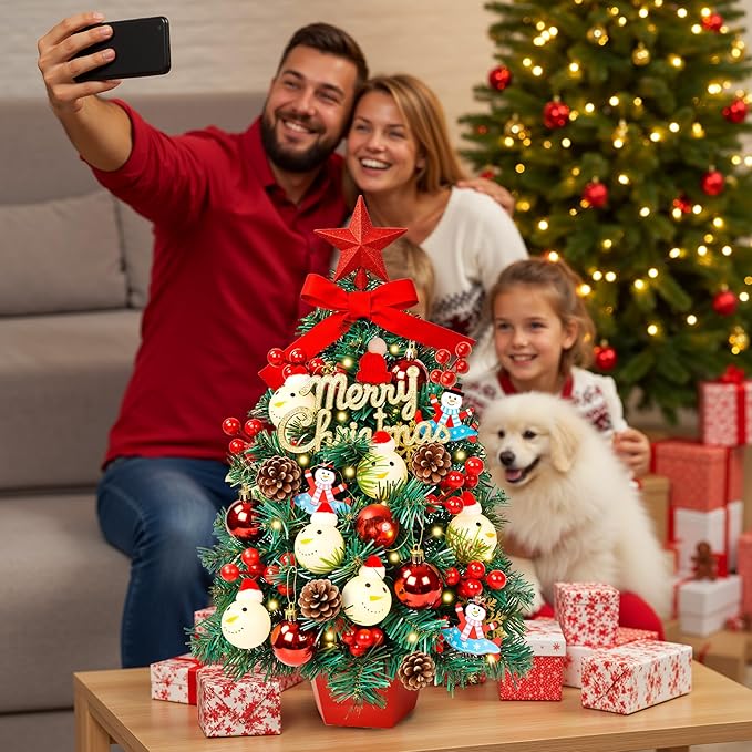 2FT Tabletop Mini Christmas Tree, 24 Inch Small Artificial Christmas Tree with Warm LED Lights, Star Treetop, DIY Ornaments, New Xmas Pine Tree Decoration for Kid Friend Family Holiday Home Office