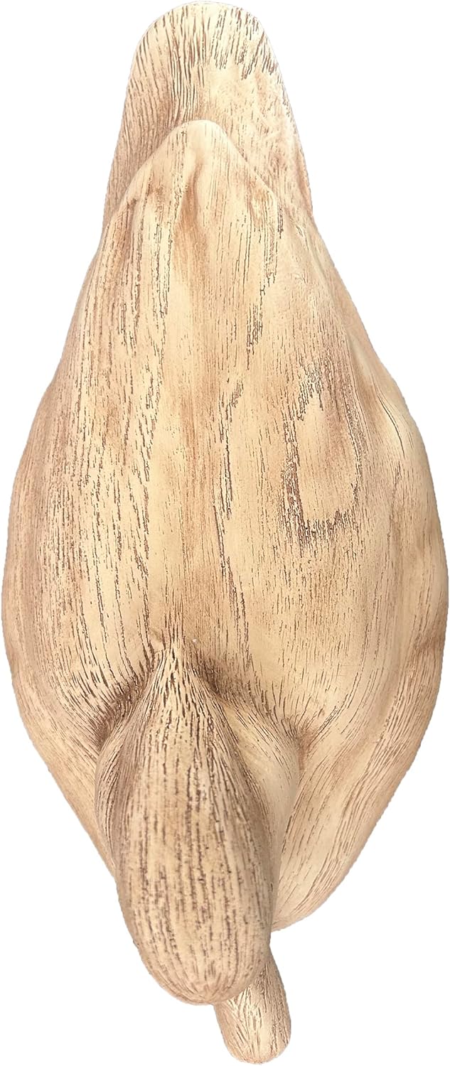 Hymmah Duck Home Decor Statue Rustic Home Decorations for Living Room, Boho Sculpture Resin Animal Collectible Figurines for Indoor Decor (Beige)