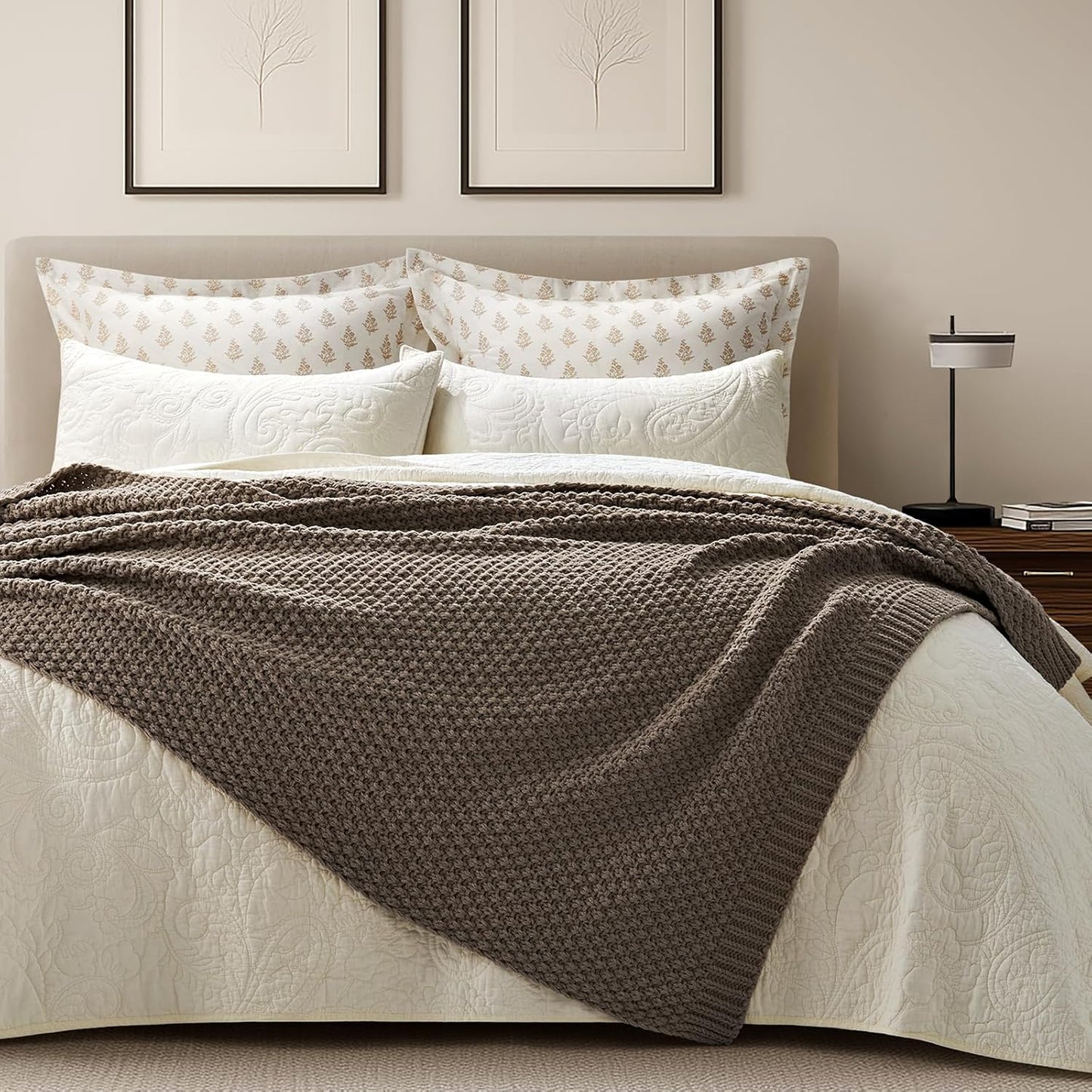 EVERGRACEHOME Chunky Chenille Knit Throw Blanket for Couch, Soft Luxurious Moss Stitch Blankets for Bed, Cozy Decorative Farmhouse Knitted Throws for Sofa, Mocha Brown, 50" x 60"