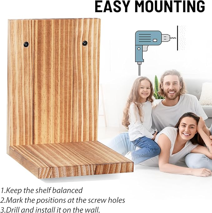 Small Wall Shelf,L-Shaped Small Floating Shelves for Plants Speaker Table Lamp Display,Wooden Ledges Indoor Modern Midcentury Decorative for Gallery Living Room Porch,Pine,2 Pack（Carbonized Brown）