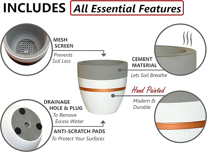 PASENITY Hand Painted Indoor Plant Pots, Set of 3 Modern Cement Succulent Pots with Drainage, Best Planters for Cactus, Herbs, Great Office & Home Gift Idea (Plants NOT Included), 3.5 Inch