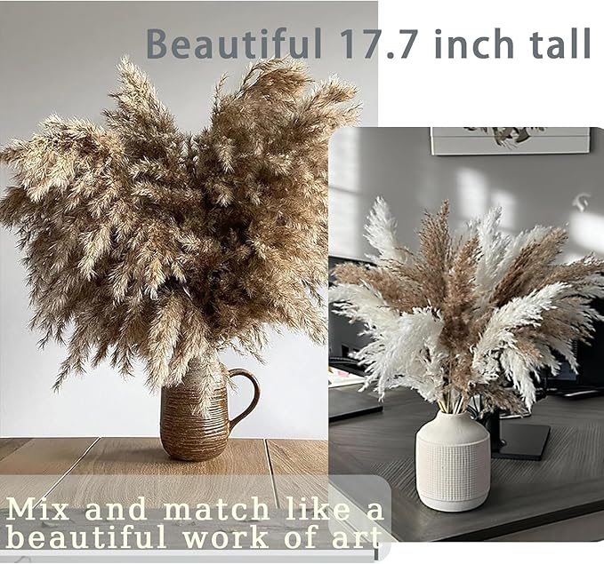 30 Stems Home Decor - Natural Dried Pampas Grass, Fluffy Brown Pompas Grass, Dry Small Pampas Bulk for Living Room Table Decor, Boho Decor, Party Wedding Decor , Gift(17.7 inch, 30 Brown )