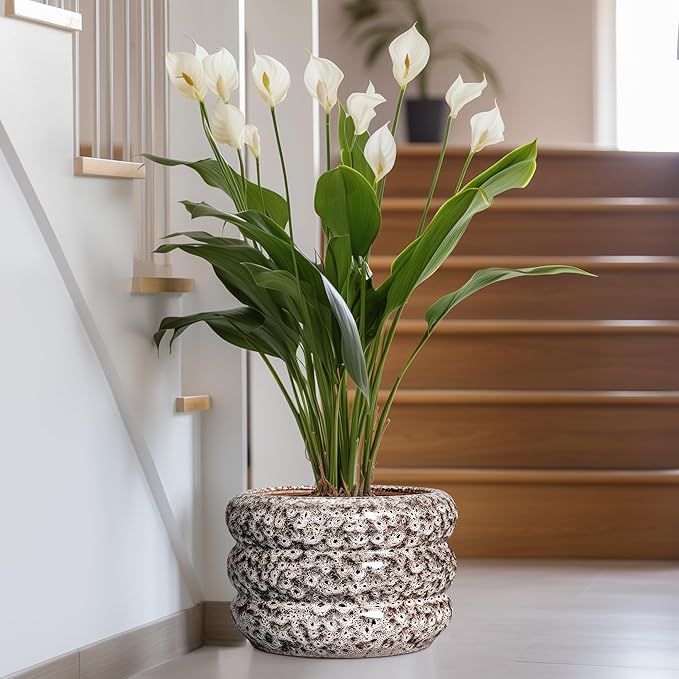 SQOWL Ceramic Flower Pots - 13.5 Inch Plant Pot with Drainage Hole, Large Ceramic Planter for Indoor Plants, Round Modern Planter Outdoor, Porch Home House Decor, Plant Lover Gifts, White