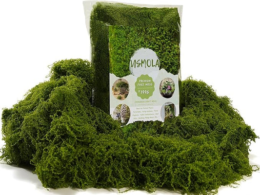 3.5OZ Fake Moss for Plants Indoor - Artificial Moss for Table Centerpieces, Fairy Gardens, Terrariums - Realistic Faux Grass for Wedding Christmas Party Decor (Natural Green)