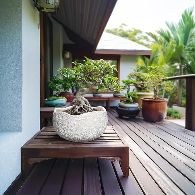 10 Inch Plant Pot - Ceramic Planter for Indoor Outdoor, Round Bonsai Pots, Decorative Flower Pots with Drainage Hole, Modern Unique Planters, House Decor, Home Gifts, White