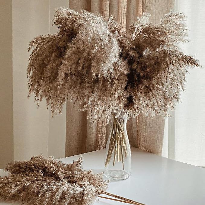 30 Stems Home Decor - Natural Dried Pampas Grass, Fluffy Brown Pompas Grass, Dry Small Pampas Bulk for Living Room Table Decor, Boho Decor, Party Wedding Decor , Gift(17.7 inch, 30 Brown )