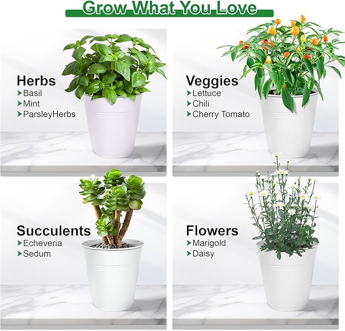 Herb Garden Planter Indoor Kit – 6 Metal Pots with 2 Trays for Windowsill & Kitchen Counter – Modern Decorative Indoor Planters for Herbs, Succulents & Small Plants, White