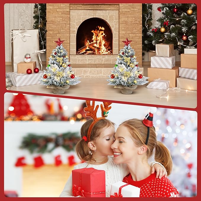 2ft Pre-Lit Artificial Mini Christmas Tree,24 Inch Snowy Flocked Small Tabletop Christmas Tree with LED Light,White Xmas Pine Tree for Home Desk Indoor Decor, Perfect with Burlap Base