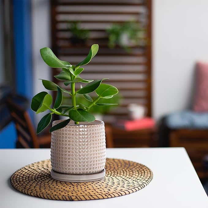 D'vine Dev 4 Inch Ceramic Beaded Stoneware Planter Pot - Flower Pot with Drainage Holes and Saucers for Indoor Succulent Plants or Flowers, Light Brown, 27-C-Z-4