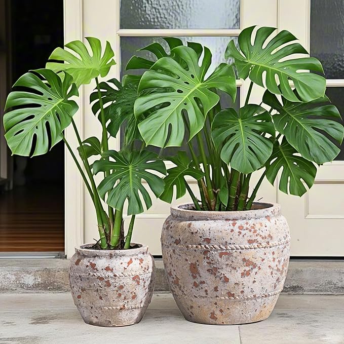 Yundu Concrete Planter Set of 2, The planters for Indoor Plants, 12.5 & 8.5 inch pots for Plants, Plant pots Indoor with Drain Hole, Modern décor for Home, Office and Other Indoor and Outdoor Décor