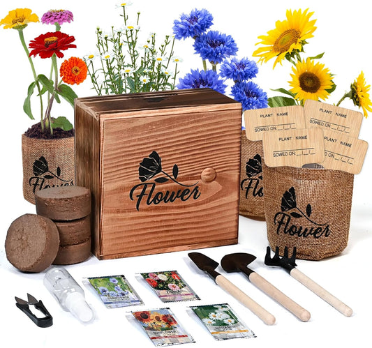 Indoor Starter 4 Kit with Complete Gardening Kit & Wooden Box, Growing into Shasta Daisy, Cornflower, Sunflower, Zinnia