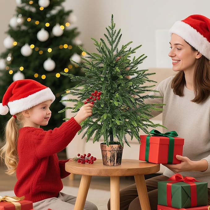 2FT Norfolk Pine Tree with Pot - Tabletop Christmas Tree with Real Touch PE Branch Tips for Front Porch Kitchens Home Indoor Outdoor Xmas Decor