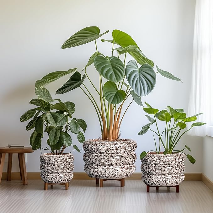 SQOWL Ceramic Plant Pots - 8 Inch Ceramic Planter for Indoor Plants Outdoor, Round Planter with Drainage Hole, Round Decorative Flower Pots, Living Room Office Garden Decor, Gardening Gifts, White