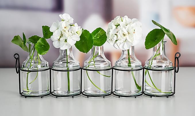 5pc Glass Flower Vase with Metal Holder, Best Vases for Flowers, Set for Home Decor, Wedding Decorations, Table Decor, Kitchen, Bathroom, Bedroom, Shelf Decor, Best Modern Vase for Flower Arrangement