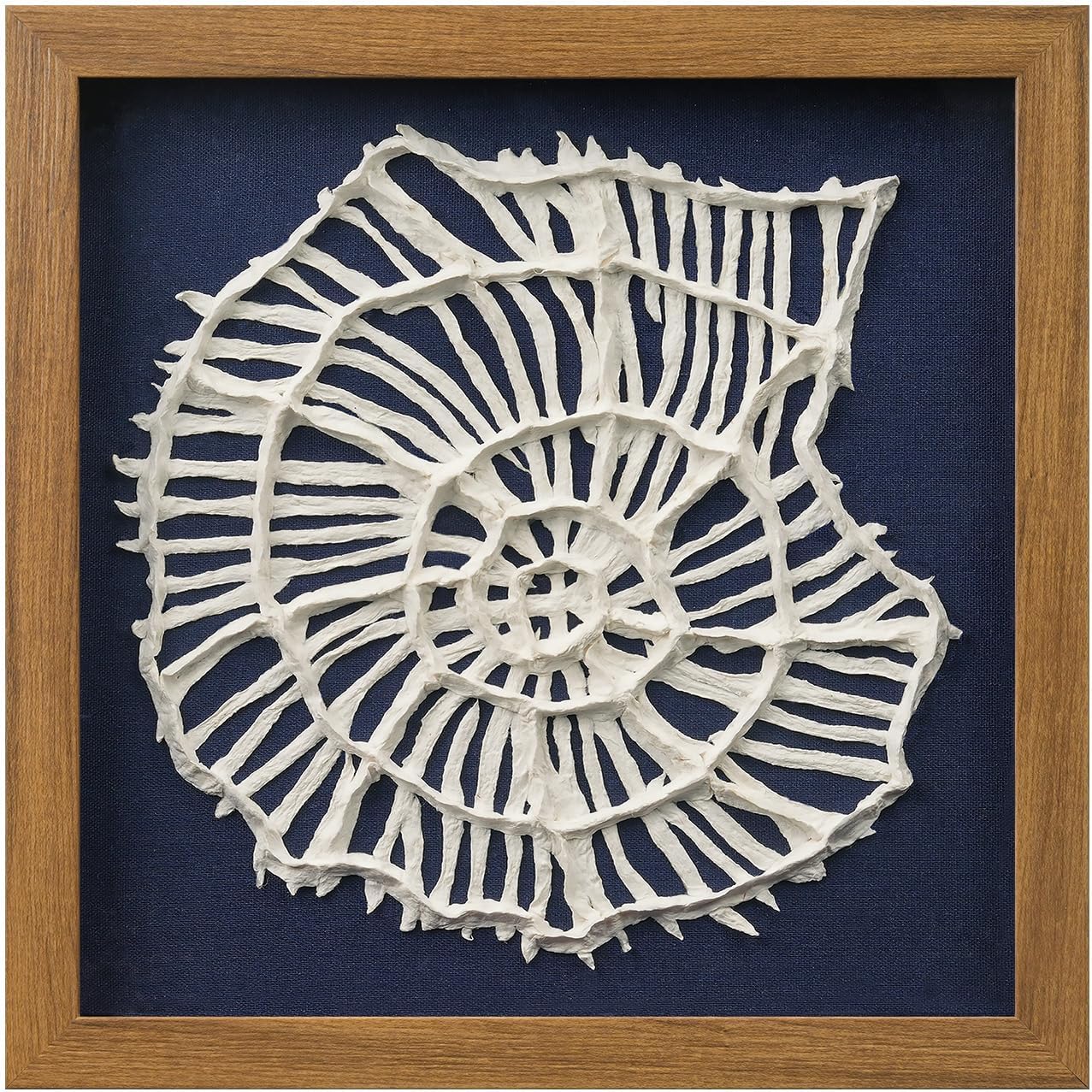 FOLKOR Beach Wall Art Decor for Living Room Bedroom Guest Room, 12" Framed Seashell Shadow Box Art with Blue Background, 3D Coastal Wall Hanging Accent for Entryway Staircase Exhibition Gallery Wall